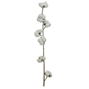 branche-coton-decoration | jourdefete.com