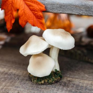 3 champignons sur socle en mousse - 7 x 14 cm - Collection Promenade d'Automne