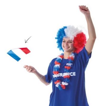 Drapeau France sur Hampe (14 x 21 cm)