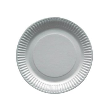 Optez pour ce lot de 100 assiettes écologiques | jourdefete.com