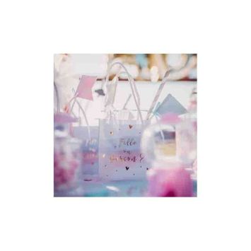 6 Sacs Cadeaux Gender Reveal - Fille ou Garçon ? 