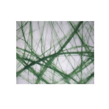 Chemin de Table Intissé 30 cm x 5 M – Vert foncé