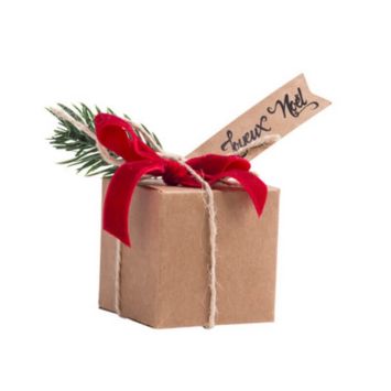 4 Contenants Kraft avec Branche, Ruban et Étiquette