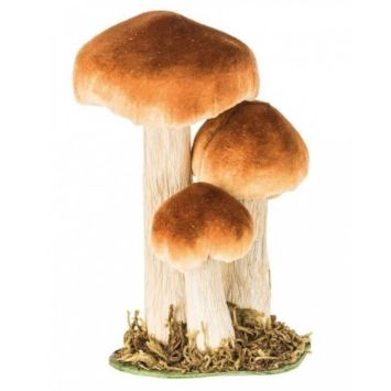 Décoration à Poser - Champignons - 3 Cèpes sur Socle en Mousse