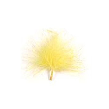 20 Plumes Jaunes