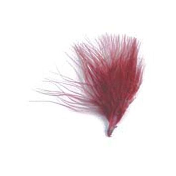 20 Plumes Bordeaux