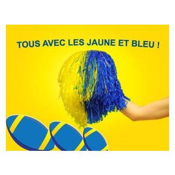 Pom Pom Bicolore Jaune et Bleu