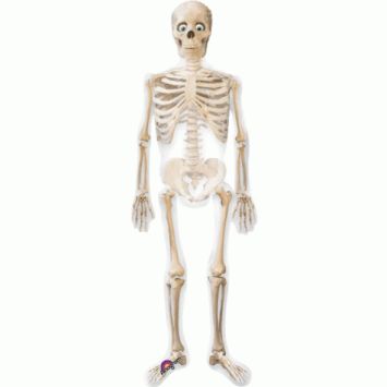 Ballon Hélium Halloween AirWalker Squelette Géant