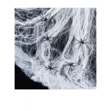 Toile d'Araignée avec 6 araignées - 100g 