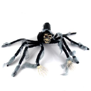 Araignée sorcière noire