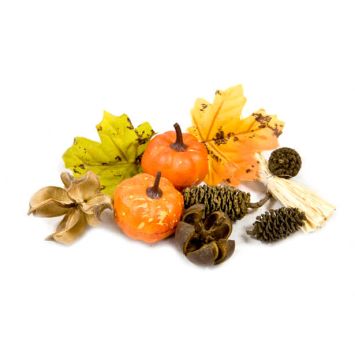 C'est un kit de décoration pour votre table d'automne | jourdefete.com