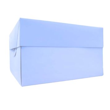 Boîte à gâteau blanche 25 x 25 x 15 cm pour pâtisseries et événements | jourdefete.com