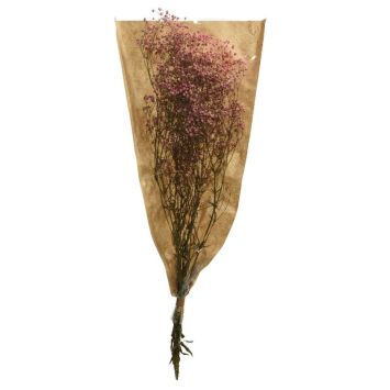 Bouquet de gypsophile séché rose doux