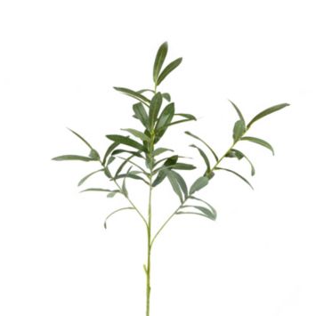 branche olivier 4 tiges 73 cm | jourdefete.com