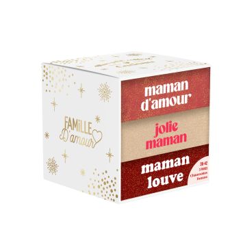 Coffret Trio de chaussettes à paillettes pour femme - Maman - Collection Famille d'Amour