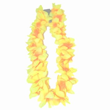 collier-hawai-fleurs-vanille-tiare | jourdefete.com