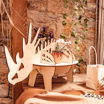 Présentoir 3D Dinosaure en bois - Collection Dinosaure Kraft