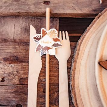 12 Pailles marque-places en carton - Collection Dinosaure Kraft