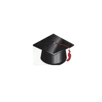 16 serviettes en papier étudiant diplômé de 16,5 cm | jourdefete.com