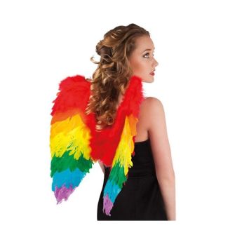Paire d'ailes - Arc en ciel 