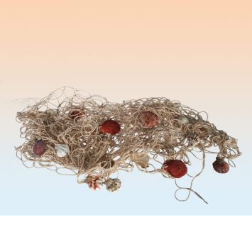 Carrelet de Pêche avec Coquillages