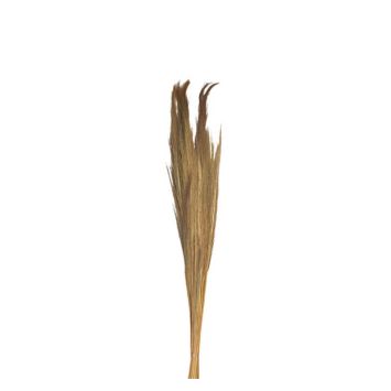 bouquet pampa grass naturel 110 cm | jourdefete.com