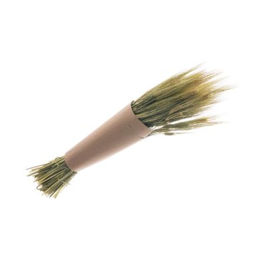 Bouquet de gerst naturel vert | jourdefete.com