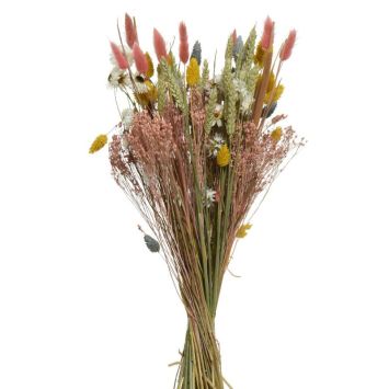 Bouquet de Fleurs des Champs Séchées - 60cm