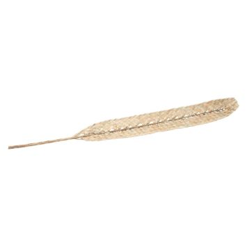 feuille de dattier tressée séchée