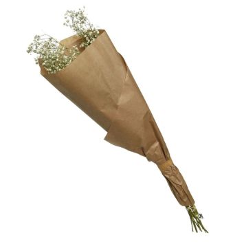 Bouquet de gypsophile séché blanc