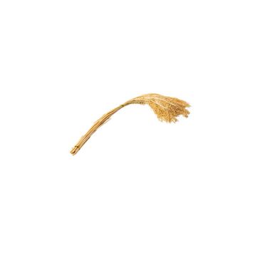 herbes-sechees-bouquet-naturel|jourdefete.com