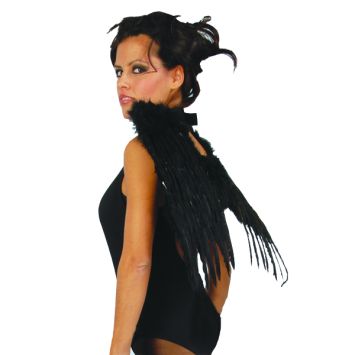 Ailes d'Ange des Thénèbres