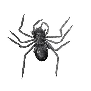 Araignée d'Halloween animée - 120 cm