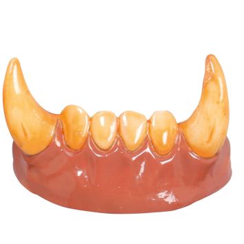 Dents de Loup-Garou d'Halloween