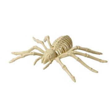 Une terrifiante araignée squelettique débarque dans votre salon le soir d'Halloween | jourdefete.com