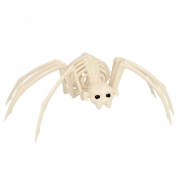 Un squelette d'araignée pour effrayer vos invités le soir d'halloween : Frissons garantis ! | jourdefete.com