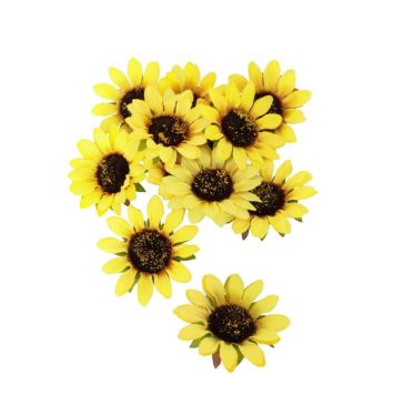 12 tournesols a poser | jourdefete.com