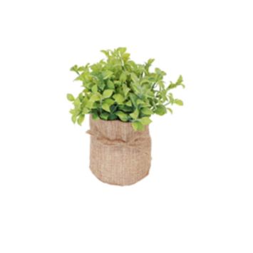 plante-grasse-decoration-mariage|jourdefete.com