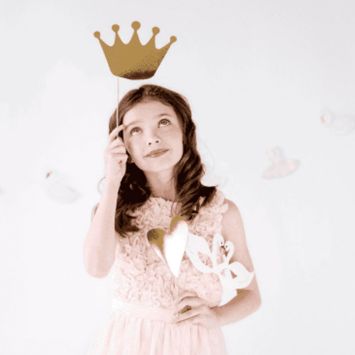 3 Accessoires Photobooth - Lovely Swan