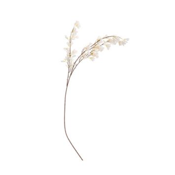 branche de magniolia blanc | jourdefete.com