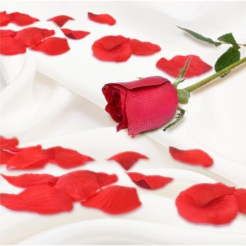 Pétales de rose à parsemer - 15 g - Saint-Valentin - Collection Chéri Chérie