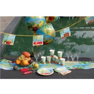 Banderole - Retraite Tropicale - 6 mètres