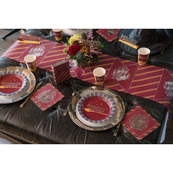 10 Assiettes en carton - Sorcier - 22,5 cm