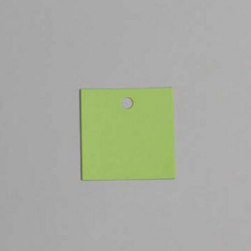 Sachet de 12 étiquettes carrées "Vitamine" - Vert
