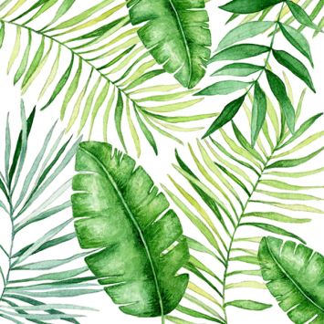20 serviettes en papier - 33 x 33 cm - À la Carte "Jungle"