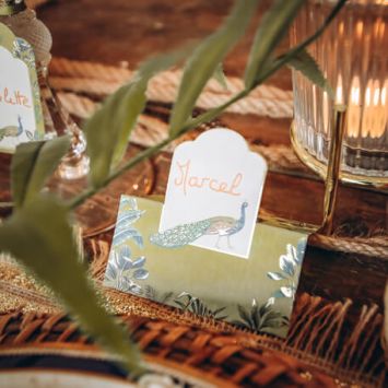 10 Marque-Places - Collection Tropical Peacock