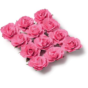 12 Roses Fuchsias sur Tige 12 Roses Fuchsias sur Tige