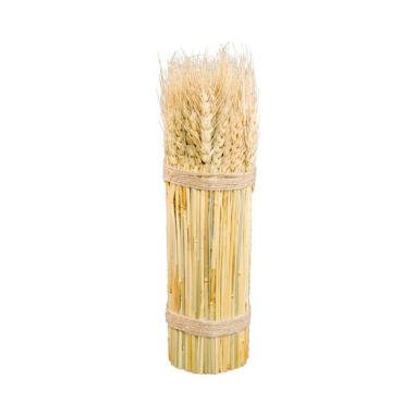Botte Epi de Blé Naturel Botte Epi de Blé Naturel