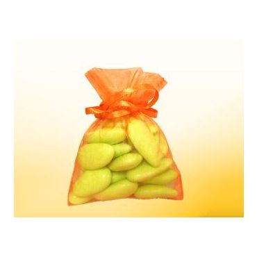 Bourse Organdi Orange Bourse Organdi Orange