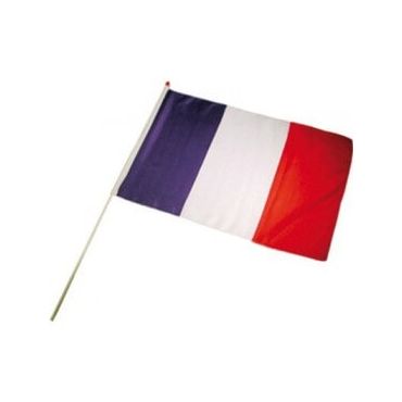 Un petit drapeau et sa hampe facile à transporter avec vous et suivre vos équipes préférées | jourdefete.com Un petit drapeau et sa hampe facile à transporter avec vous et suivre vos équipes préférées | jourdefete.com